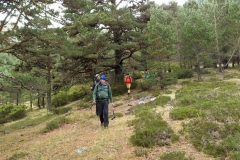 IMG_20210925_170616
