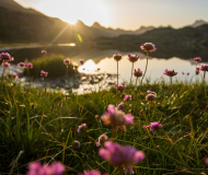 Picos del Infierno<br />Pirineos