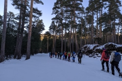 1_IMG_20210116_091915