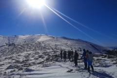 IMG-20210116-WA0059