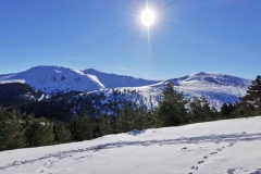 IMG-20210116-WA0071