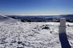 IMG-20210116-WA0079