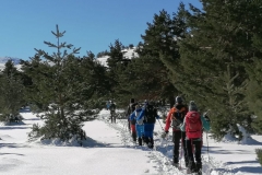 IMG-20210116-WA0190