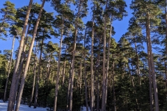 IMG_20210116_103347