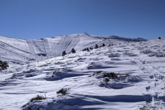 IMG_20210116_131312