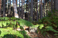 IMG_2022-10-08_09-58-08