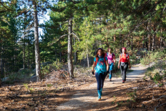 IMG_2022-10-08_10-13-29