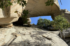 IMG_2022-10-08_10-16-01