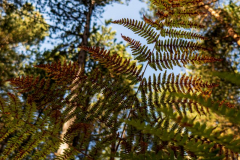 IMG_2022-10-08_11-24-58