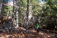 IMG_2022-10-08_11-37-43