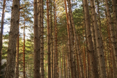 IMG_2022-10-08_11-51-06