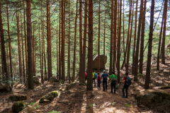 IMG_2022-10-08_13-00-02