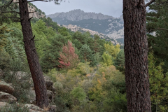 IMG_2022-10-08_13-52-49