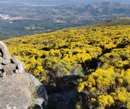 Sierra de Béjar
