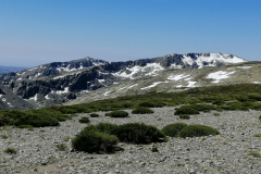IMG_20250607_114917