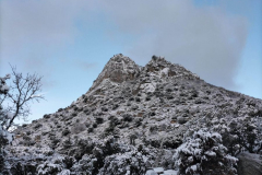 IMG20260124085959_BURST012