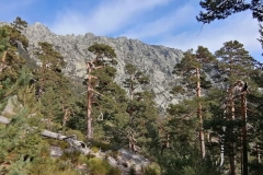 IMG-20200215-WA0075