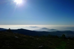 IMG-20200215-WA0130