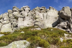 IMG_20200215_160701_stitch