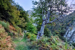 IMG_20251018_0937142