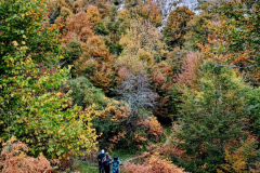 IMG_20251018_1610312