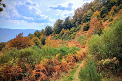 IMG_20251018_1610382