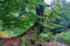 IMG_20251018_1644482