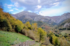 IMG_20251018_1719102