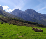 Torrecerredo<br/>Picos de Europa