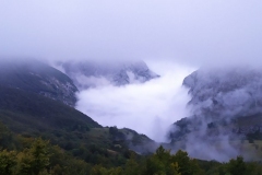 IMG_20190928_081721b