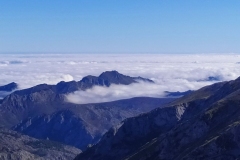 IMG_20190928_111747_1