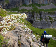 V Aniversario. Punta de las Olas y cañón del Añisclo