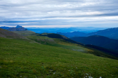IMG_20240713_074958
