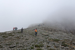 IMG_20240713_142845