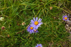 IMG_20240714_083819