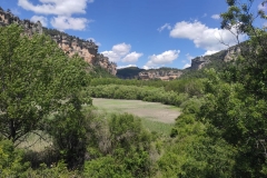 IMG-20210607-WA0069