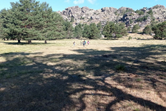 IMG_20220626_102012